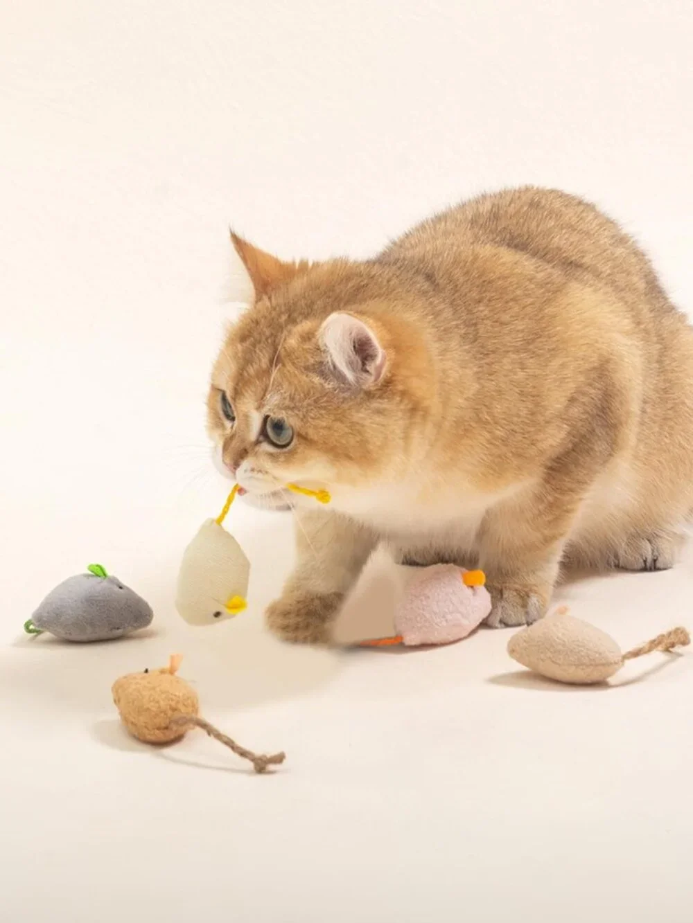 Shudyear cat Toys 5pcs Mouse Toys, Interactive Catnip Animal Toys for Indoor Kit